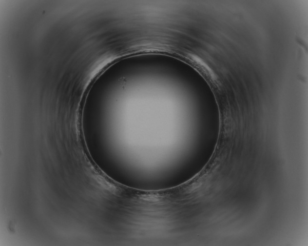 X0000093581182200710151139