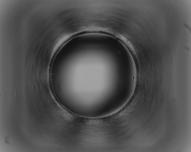 X0000093581183200710151139