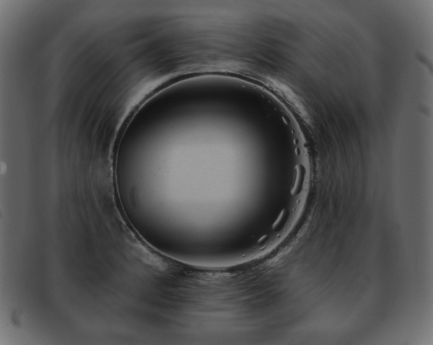 X0000093581184200710151139