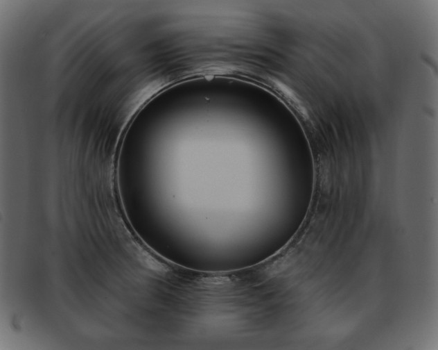 X0000093581186200710151139
