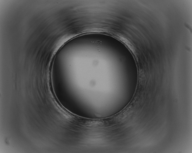 X0000093581187200710151139