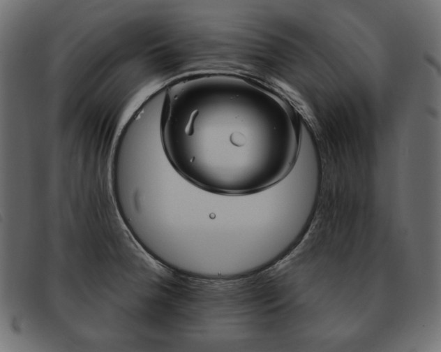 X0000093581188200710151139