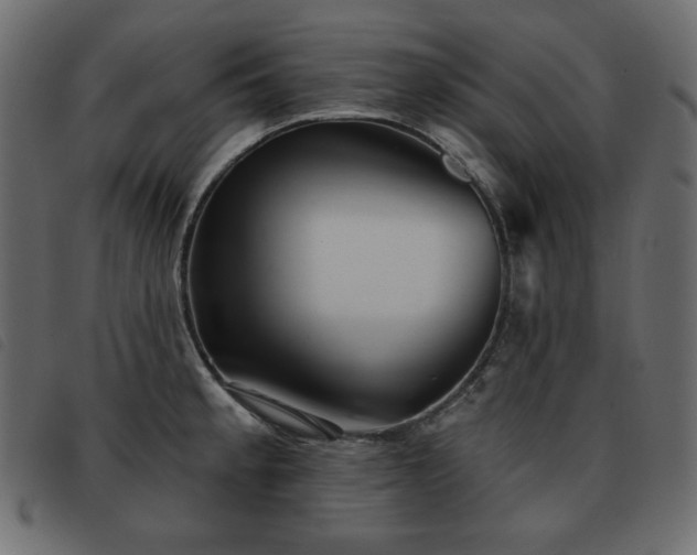 X0000093581189200710151139