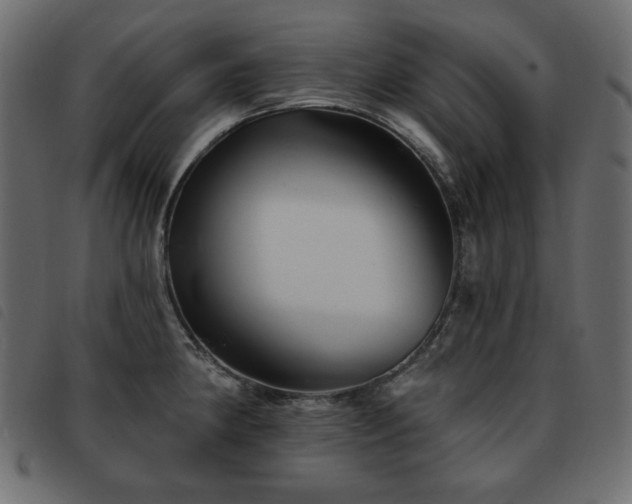 X0000093581190200710151139