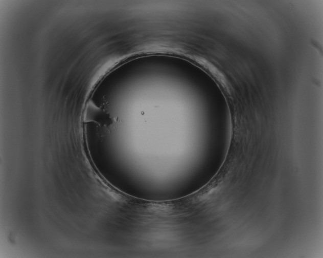 X0000093581191200710151139