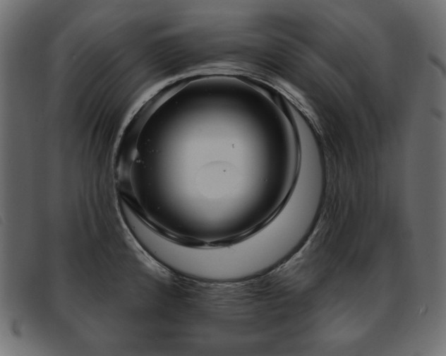 X0000093581192200710151139