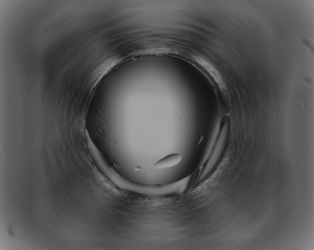 X0000093581193200710151139