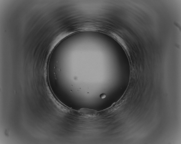 X0000093581195200710151139