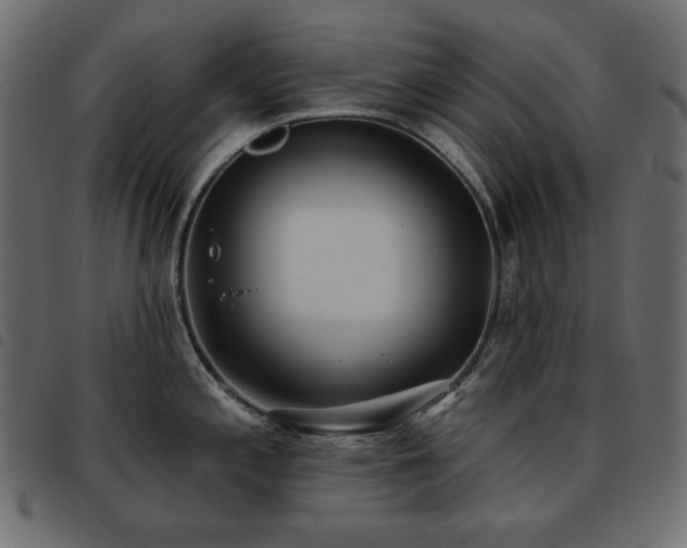X0000093581197200710151139