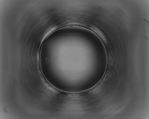 X0000093581198200710151139