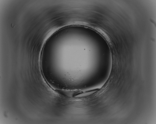 X0000093581199200710151139