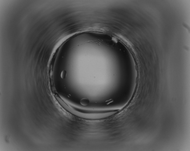 X0000093581200200710151139