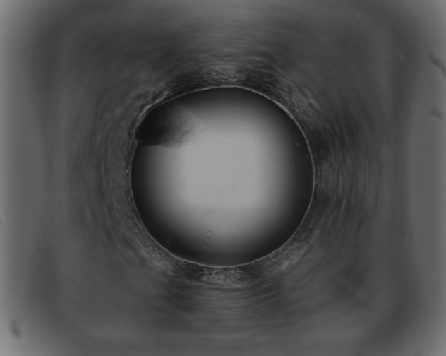 X0000093581201200710151138