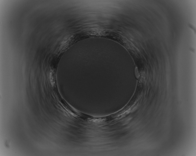 X0000093581202200710151138