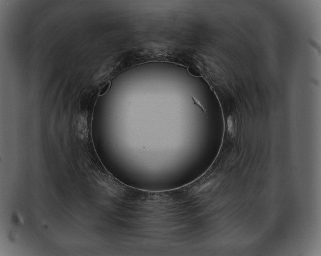 X0000093581203200710151138