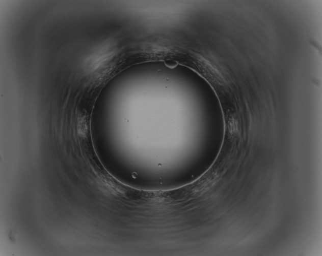 X0000093581204200710151138