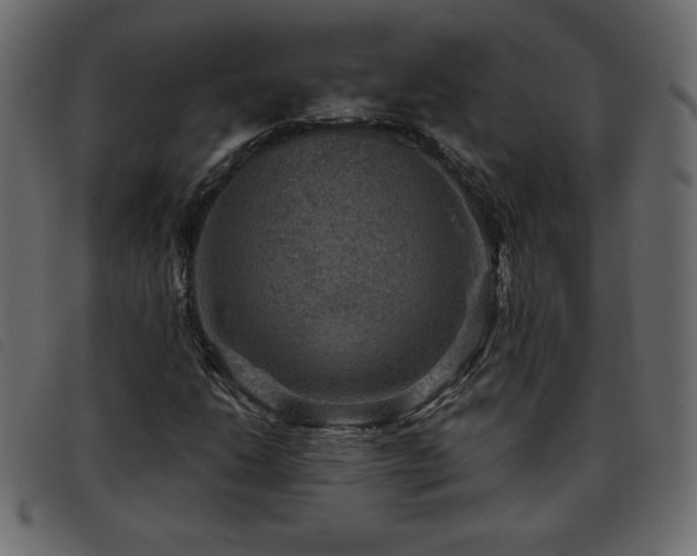 X0000093581206200710151138