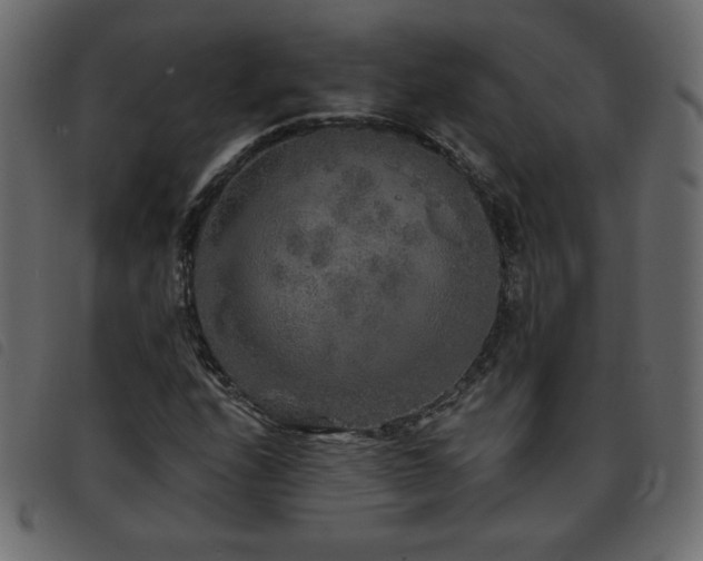 X0000093581208200710151138
