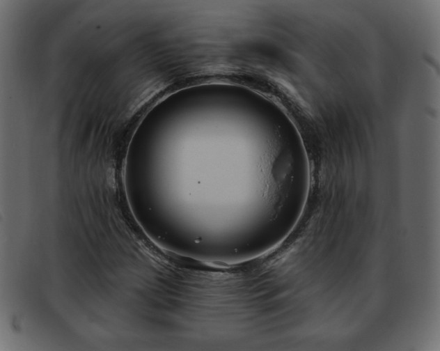 X0000093581209200710151138