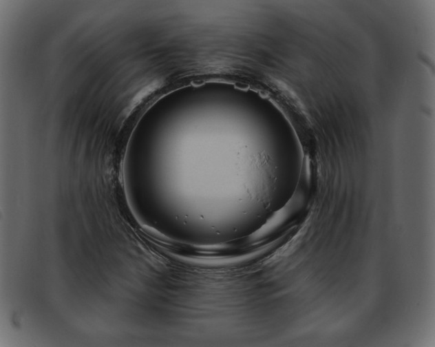 X0000093581210200710151138