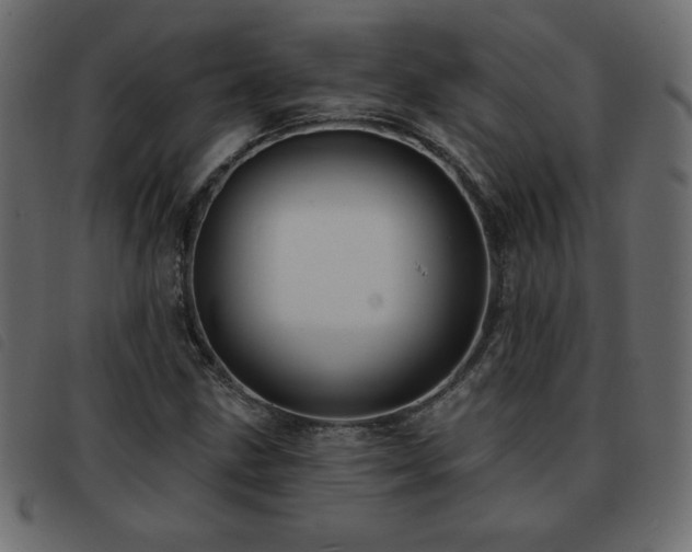 X0000093581211200710151138
