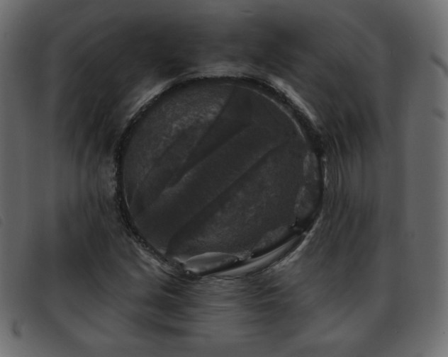 X0000093581213200710151138