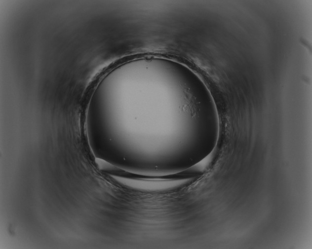 X0000093581214200710151138