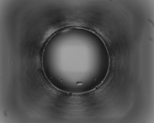 X0000093581215200710151138
