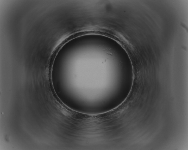 X0000093581216200710151138