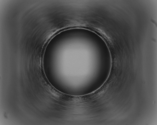 X0000093581220200710151138