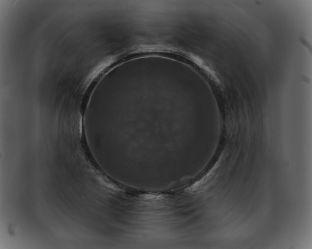 X0000093581221200710151138