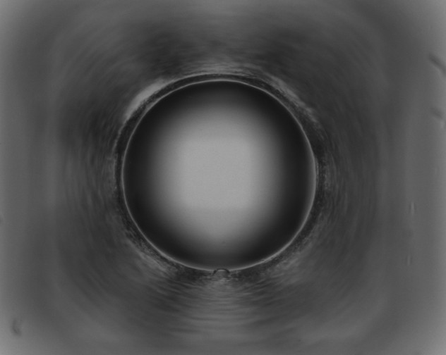 X0000093581222200710151138