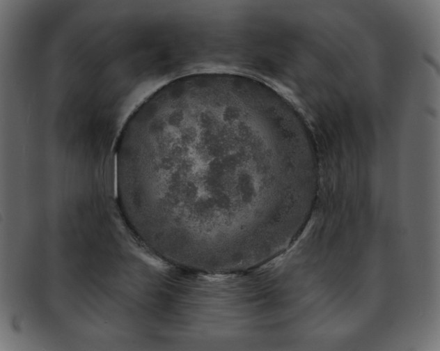 X0000093581223200710151138
