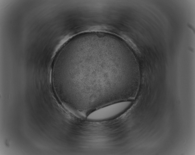 X0000093581224200710151138
