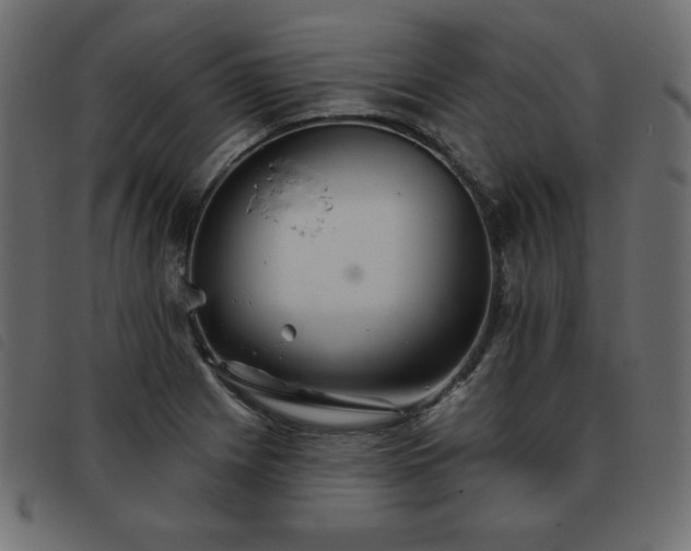X0000093581225200710151138