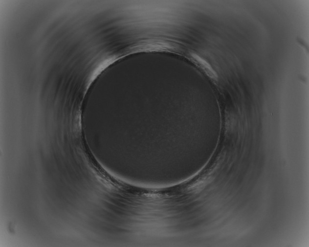X0000093581226200710151138