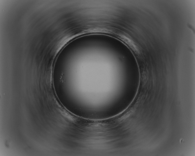 X0000093581228200710151138