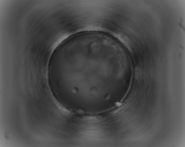 X0000093581229200710151138