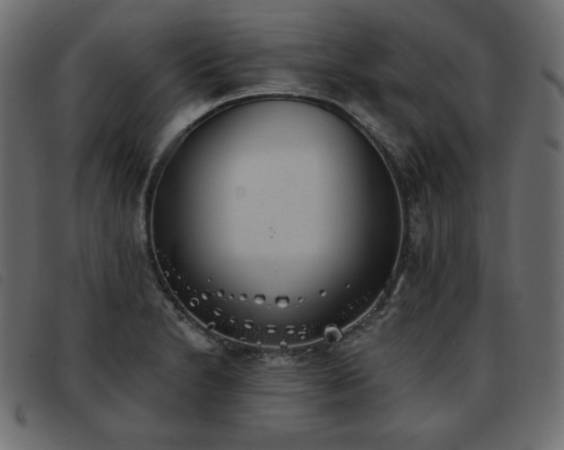 X0000093581230200710151138