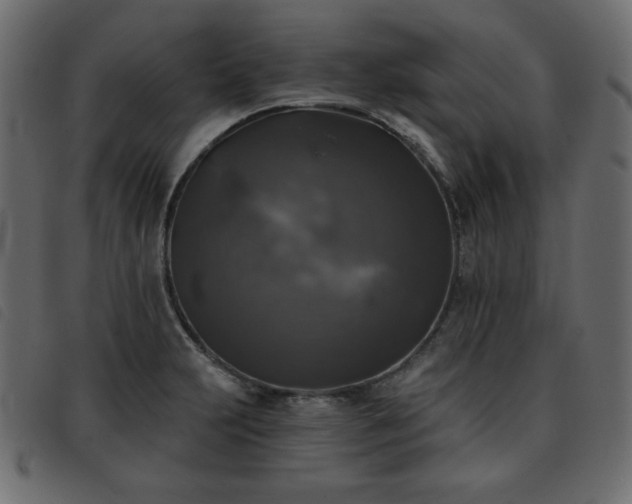 X0000093581231200710151138