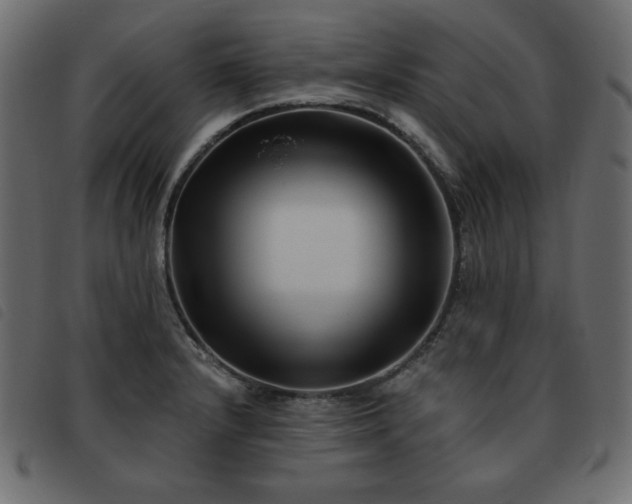 X0000093581232200710151138