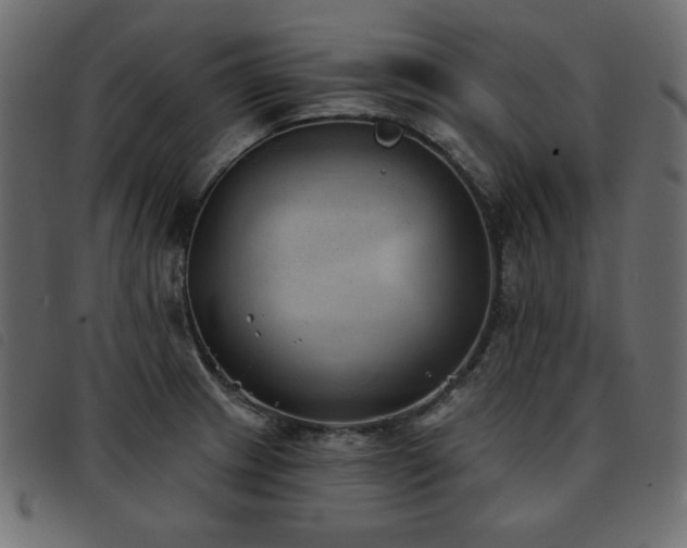 X0000093581233200710151138
