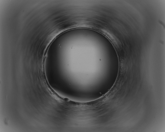 X0000093581236200710151139