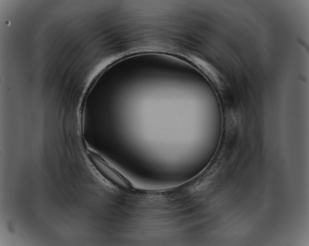 X0000093581238200710151139