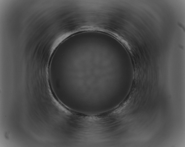 X0000093581239200710151139