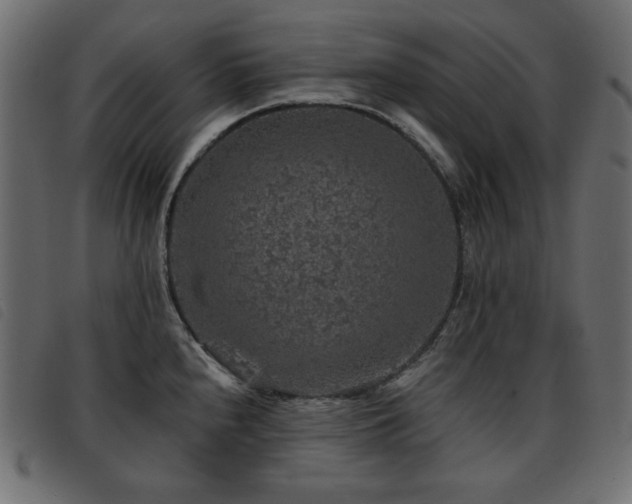 X0000093581240200710151139