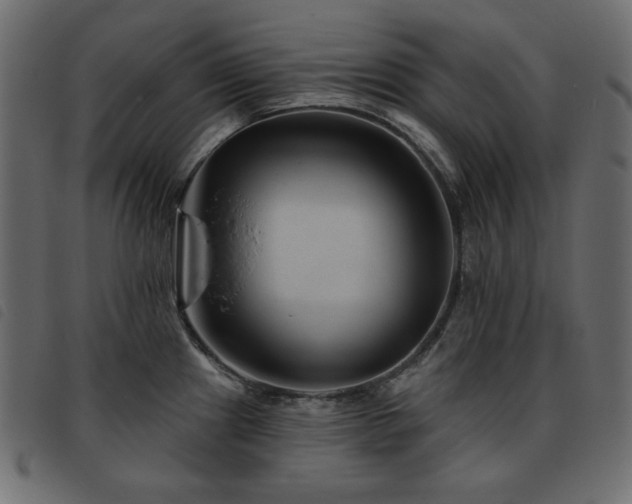 X0000093581241200710151139