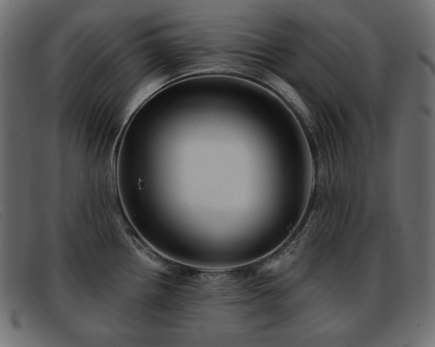 X0000093581242200710151139