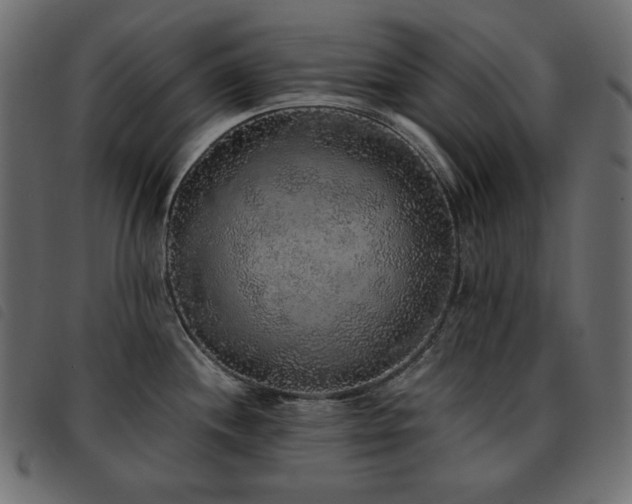 X0000093581244200710151139