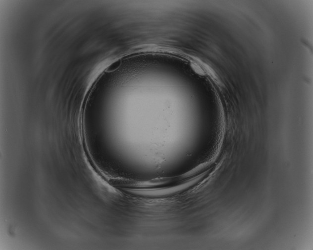 X0000093581247200710151139